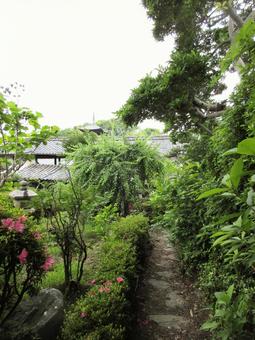 奈良県-當麻寺-千佛院 奈良県-當麻寺-千佛院 當麻寺,寺,二上山の写真素材