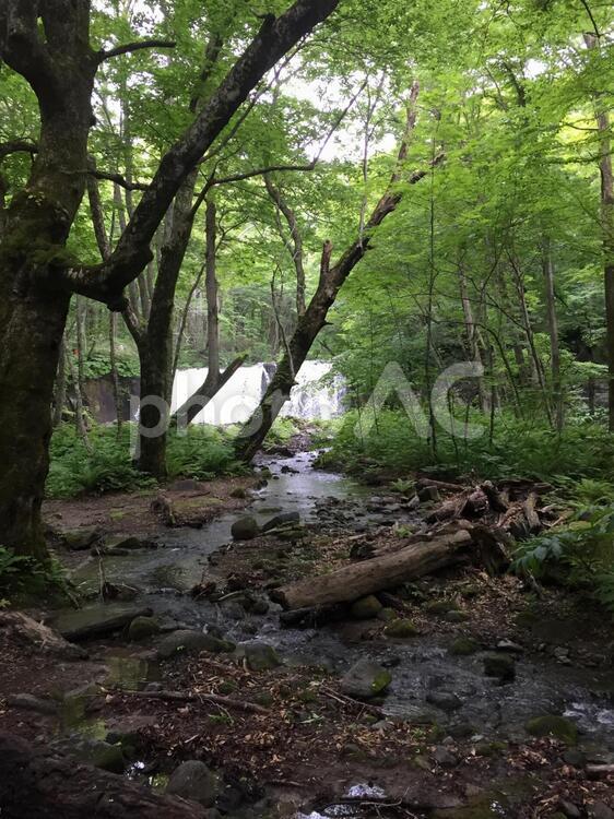 滝と渓流 風景,木材,自然の写真素材