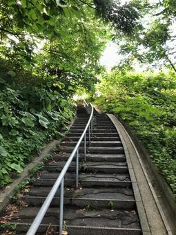思い出に登る階段 夏,夏休み,故郷の写真素材