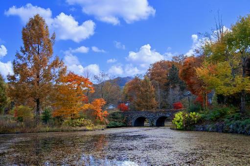 高原と紅葉 高原と紅葉 紅葉,軽井沢,ローズガーデンの写真素材