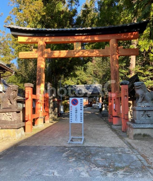 宇太水分神社 宇太水分神社,鳥居,参拝の写真素材