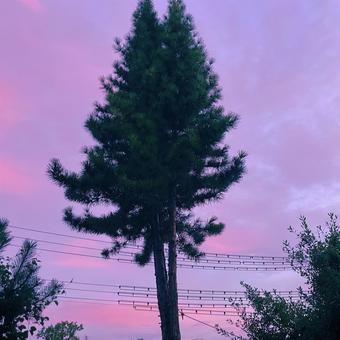 夏の夕暮れ 夏の夕暮れ 夕暮れ,夕方,夕焼けの写真素材