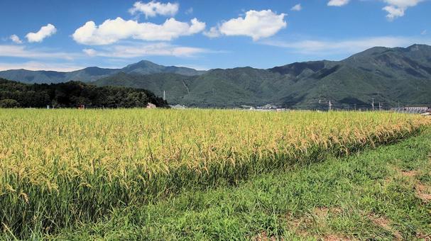 初秋の富士吉田市の田園風景 初秋の富士吉田市の田園風景の写真