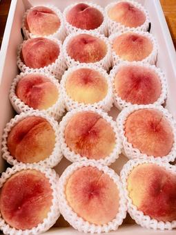 和歌山産の桃 和歌山産の桃 桃,いただき物,果物の写真素材