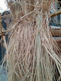 稲わら 農家,稲,米の写真素材