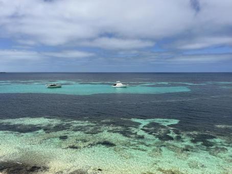 ロットネスト島 ロットネスト島の写真