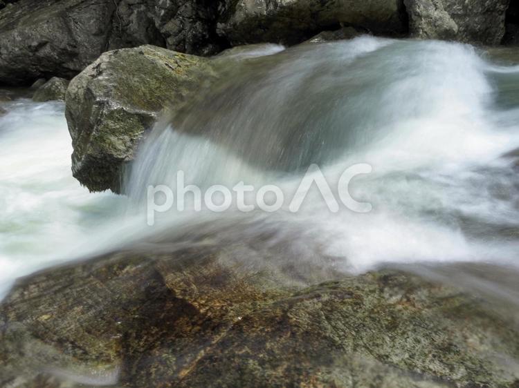 山口県山口市の蔵目喜川の流れ 蔵目喜川,山口県,山口市の写真素材