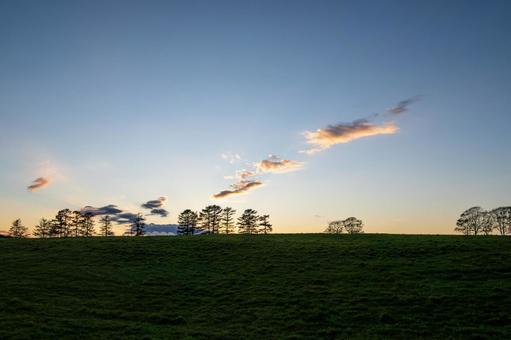 静かに日没を迎える広大な丘の上の木々 丘,草原,薄明の写真素材