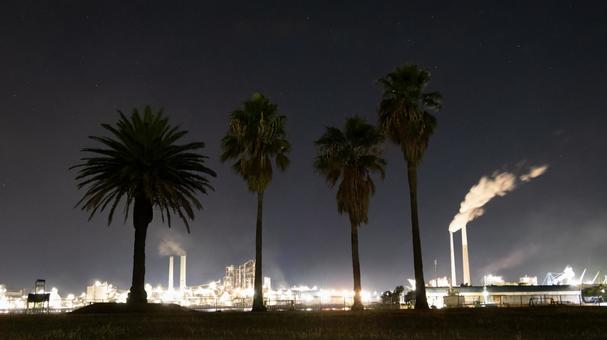 夜空に映えるヤシと工場の光景 夜空に映えるヤシと工場の光景の写真