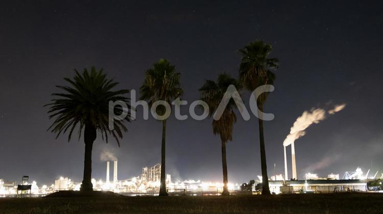 夜空に映えるヤシと工場の光景 ヤシの木,工場,夜景の写真素材