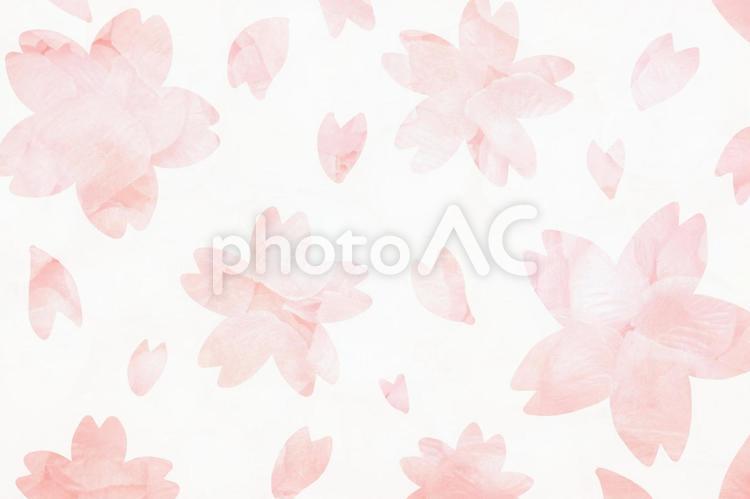 桜の背景素材 桜,バックグラウンド,ピンクの写真素材