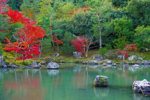 京都・天龍寺の秋の庭園の写真