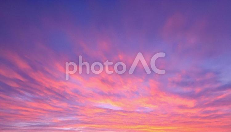 明け方の空（マジックアワー） 明け方,空,美しいの写真素材