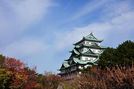 秋の空と名古屋城3 名古屋城,風景,城の写真素材
