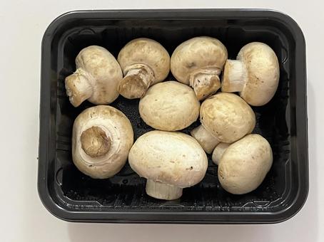 マッシュルーム マッシュルーム 食べ物,食材,きのこの写真素材