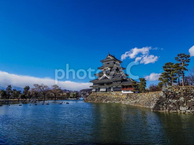 【長野県】国宝・松本城 松本城,長野県,天守閣の写真素材