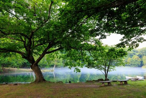 鳥沼公園 鳥沼公園 鳥沼公園,鳥沼,ボートの写真素材