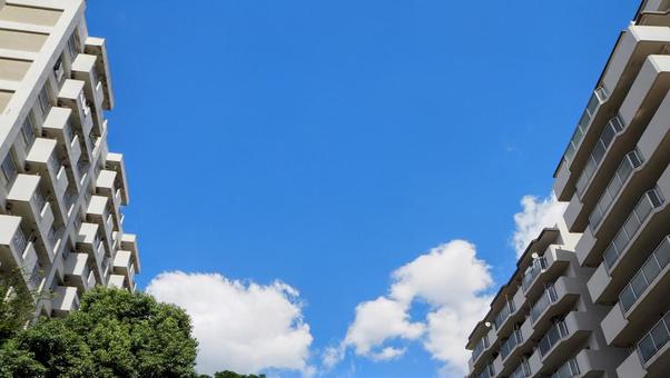 初秋の仙台堀川公園&ビル街・東京都江東区 初秋の仙台堀川公園&ビル街・東京都江東区の写真