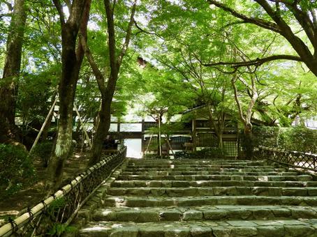 京都龍安寺庫裡前 京都龍安寺庫裡前 龍安寺,竜安寺,京都市の写真素材