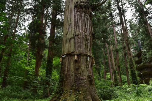 羽黒山五重塔付近の景色 羽黒山五重塔付近の景色,羽黒山五重塔,羽黒山五重塔付近の写真素材