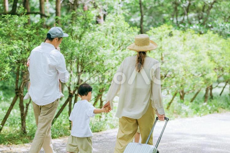 スーツケースを持って歩く旅行に来た家族 家族,歩く,後ろ姿の写真素材