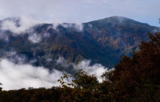 三ツ石山 木々の間から烏帽子岳 岩手県,三ツ石山,烏帽子岳の写真素材