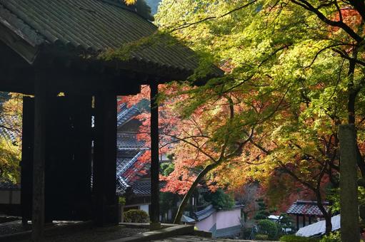 福岡 秋月 秋月城本門3 秋月城本門,黒門,秋月城の写真素材