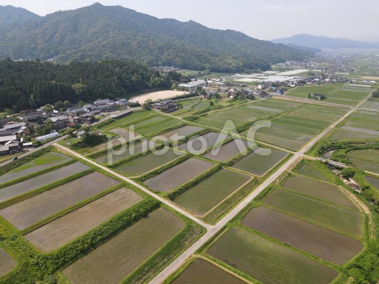 日本の水田風景 風景,空,田んぼの写真素材