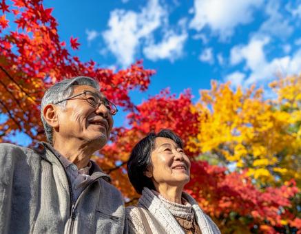 仲良く紅葉を鑑賞するシニア夫婦 仲良く紅葉を鑑賞するシニア夫婦の写真
