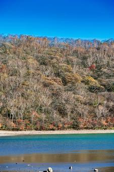 湖面と白樺紅葉 風景,青空,晴れの写真素材