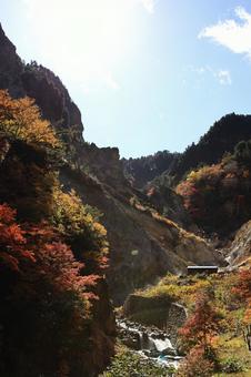 秋の姥湯温泉 秋,山,風景の写真素材