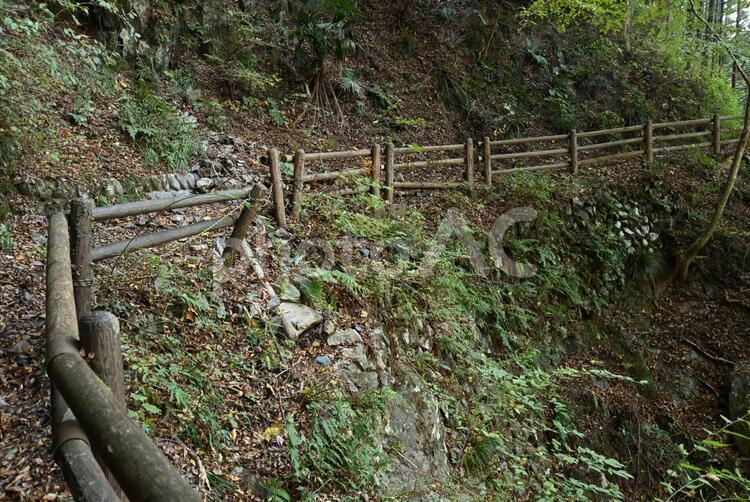 氷川渓谷のハイキングコース 奥多摩,ハイキング,氷川渓谷の写真素材
