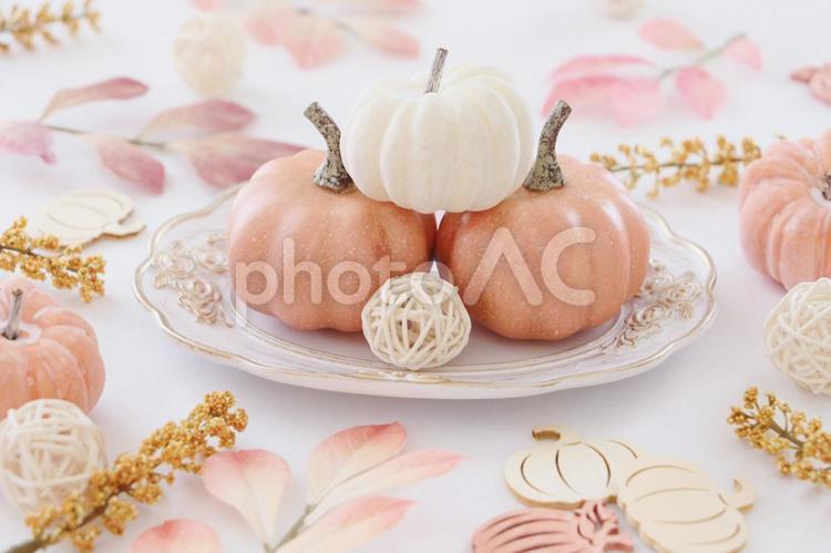 花とかぼちゃのインテリア ハロウィン,かぼちゃ,秋の写真素材