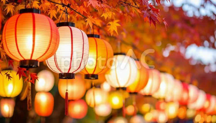 カラフルなたくさんの提灯 提灯,ランタン,ライトの写真素材