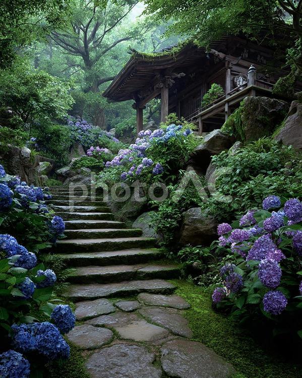 歴史を感じる石段と、咲き乱れるアジサイ 日本庭園,寺,神社の写真素材