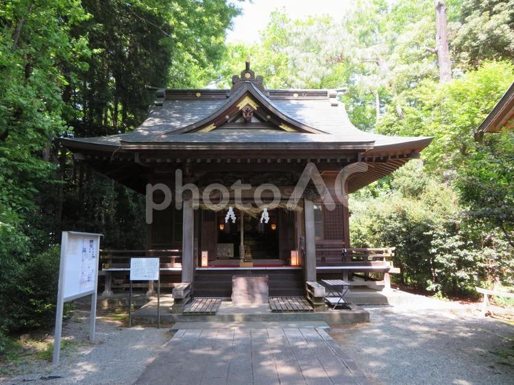 秦野市出雲大社相模分祠祖霊社 出雲大社相模分祠,祖霊社,神社の写真素材