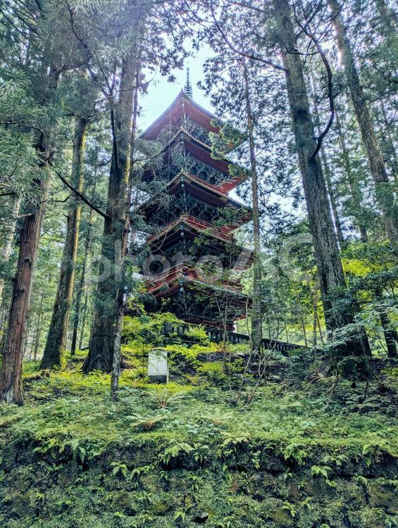 日光東照宮　五重塔 日光,日光観光,五重塔の写真素材