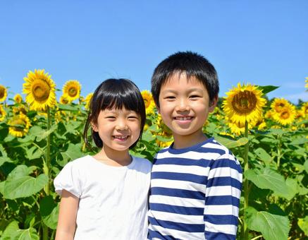 ひまわりと青空と子供たち ひまわりと青空と子供たちの写真