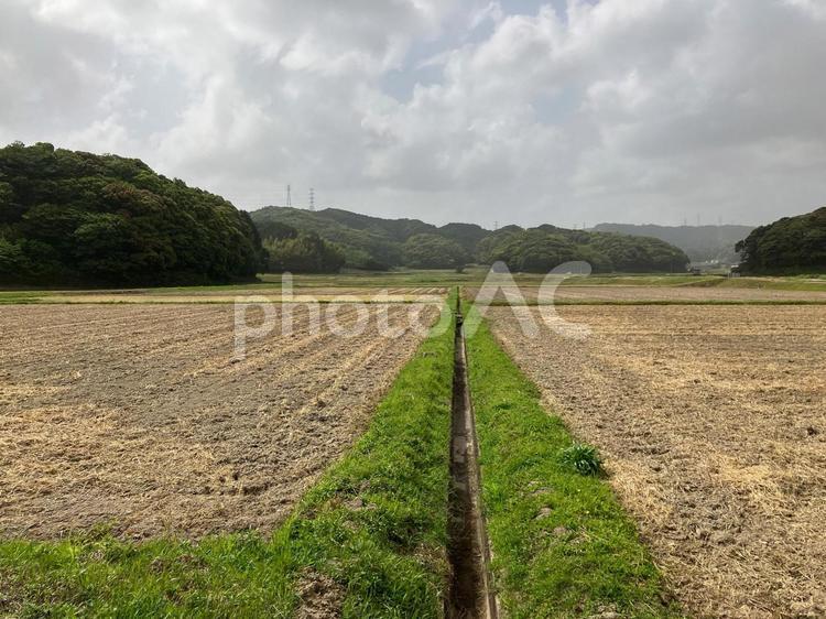 自然に囲まれた広々とした田んぼ 道端,自然,みどりの写真素材