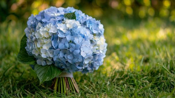 森の中の紫陽花のブーケのイメージ 森の中の紫陽花のブーケのイメージの写真