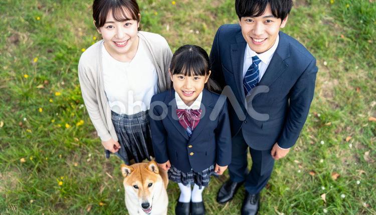 公園の芝生に立つ制服の子供と両親と愛犬 愛犬,ポートレート,女性の写真素材