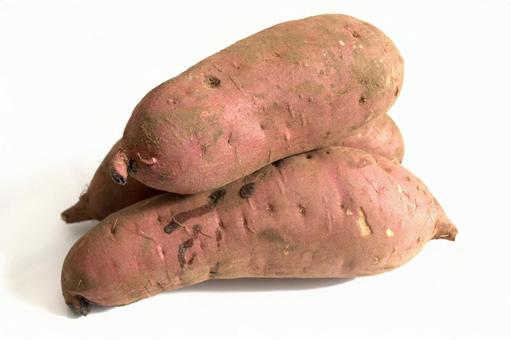 さつまいも　白背景 さつまいも,サツマイモ,野菜の写真素材