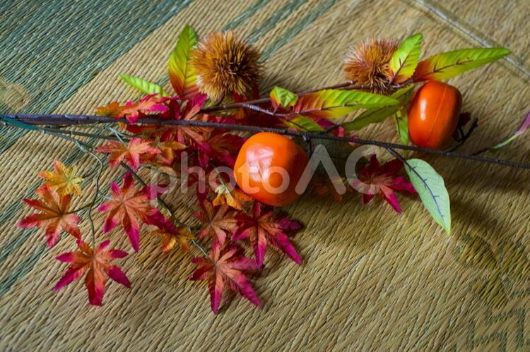 柿と栗と紅葉の造花 造花,栗,紅葉の写真素材