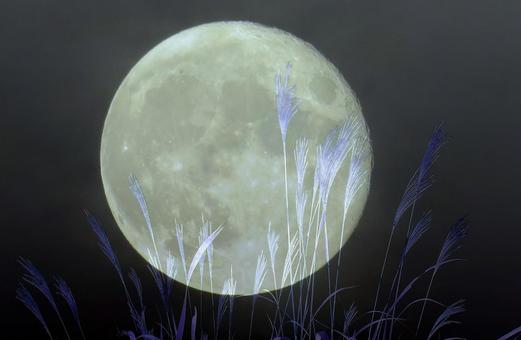 秋イメージ素材/お月見・中秋の名月 秋イメージ素材/お月見・中秋の名月 中秋の名月,十五夜,お月様の写真素材