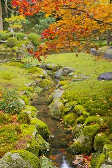 千如寺大悲王院 千如寺大悲王院の写真