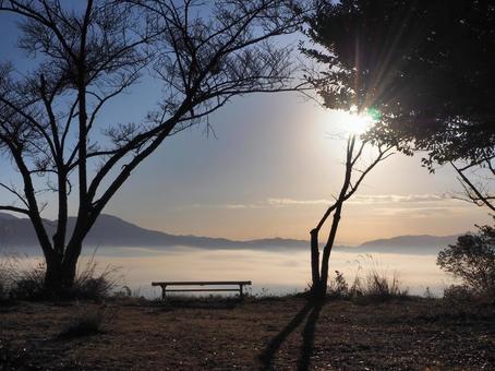 朝日と雲海 丹波八木城跡より 雲海,日の出,朝日の写真素材