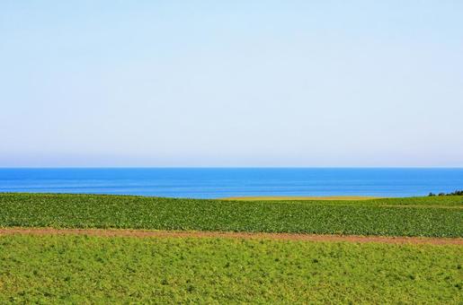 北海道 北海道の写真