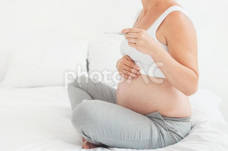 ベッドであぐらをかいて体温計を見る妊婦の顔なし写真 手元,女性,人物の写真素材