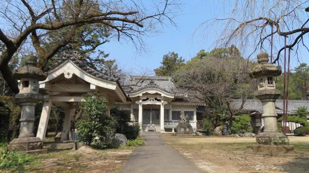 金生山神社　境内の風景　社殿 金生山神社,蔵王権現宮,神社仏閣の写真素材