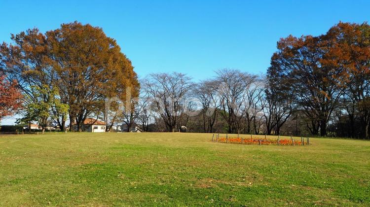 智光山公園の芝生広場＆紅葉・埼玉県狭山市 秋,紅葉,芝生広場の写真素材